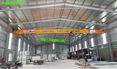 Chế tạo cầu trục 5 tấn tại Nam Định