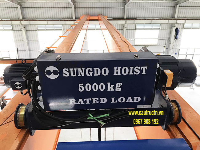 Cẩu trục sungdo là gì