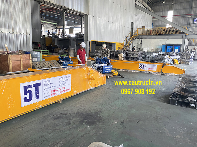 Lắp cẩu trục 5T tại KCN Quang Minh Hà Nội