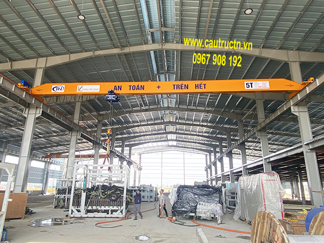 Cẩu trục 5 tấn tại ĐÌnh Vũ 