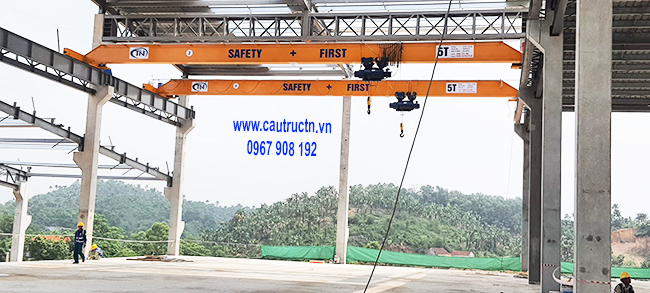 Cẩu trục dầm đơn 5 tấn