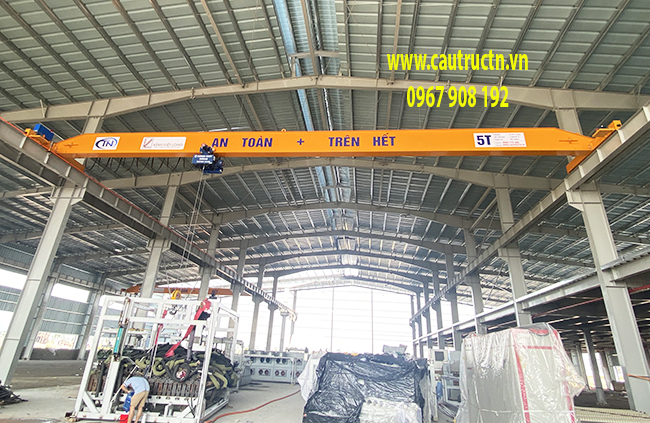 Cung cấp cẩu trục 5T tại Ninh Bình Lắp đặt cẩu trục 5 tấn tại Ninh Bình